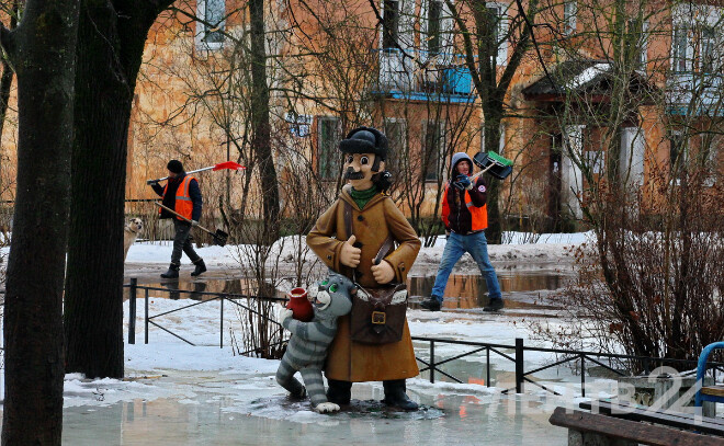    © Анастасия Илюшина для ЛенТВ24