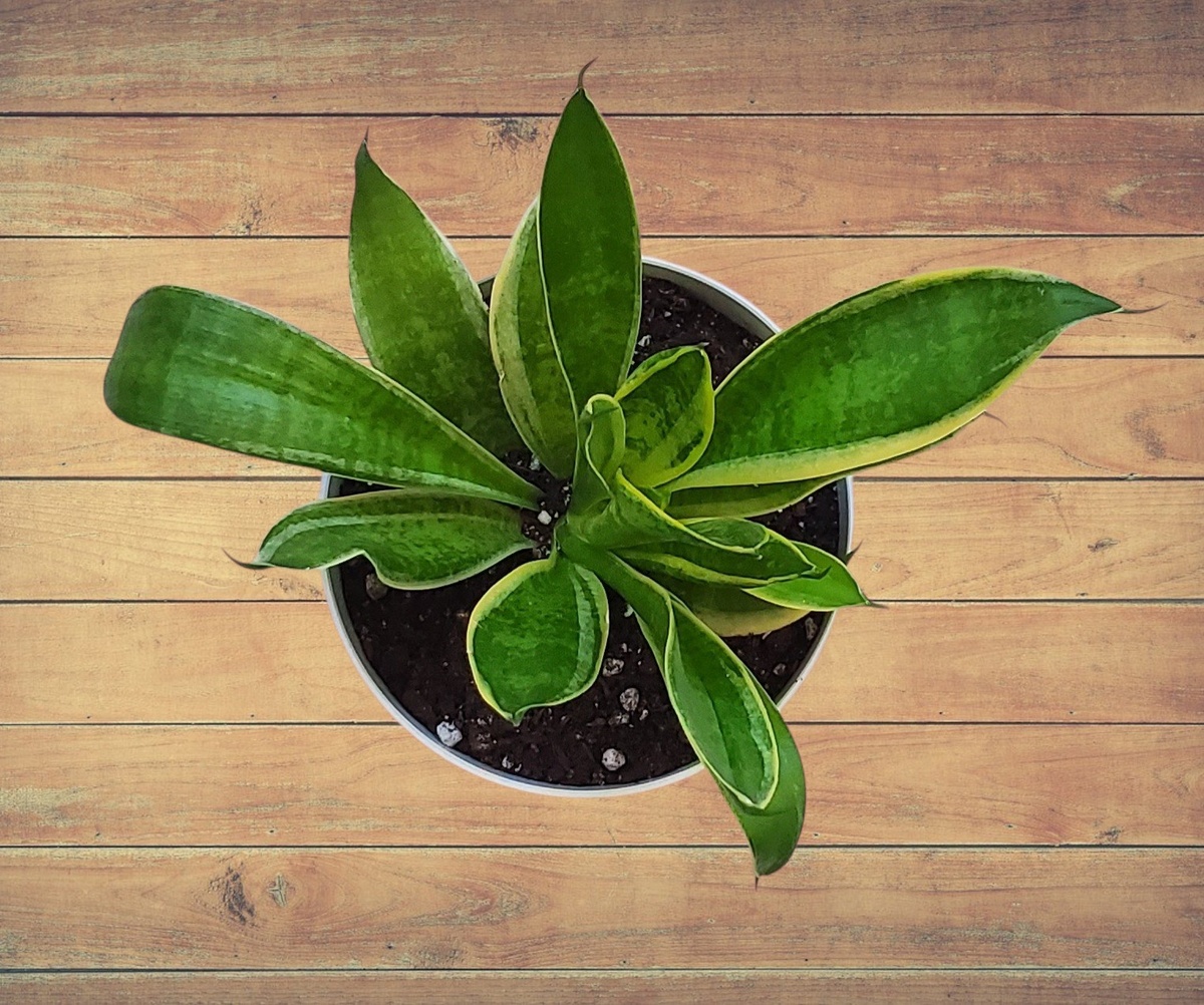 Фото автора.