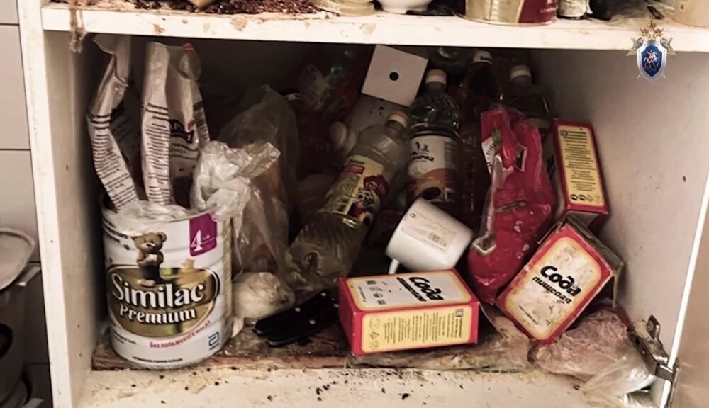    Фото: Telegram-канал Следственного комитета Ленобласти./ скриншот видео.