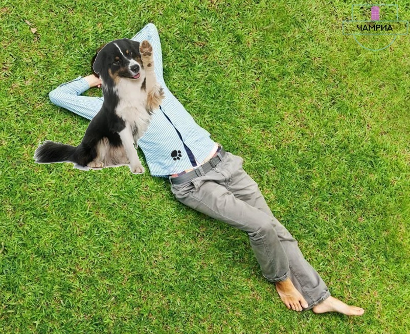 #English_idioms #Английские_идиомы #Put_the_boot_in #Бить_лежачего