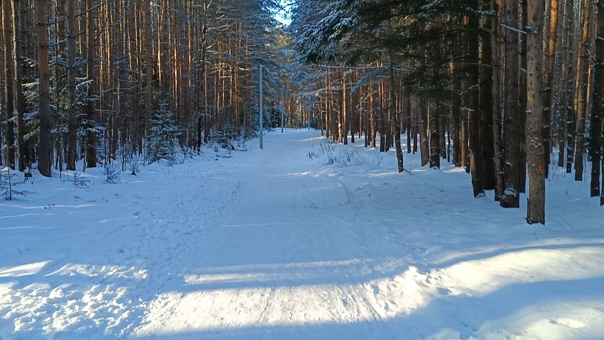 Фото автора статьи. 