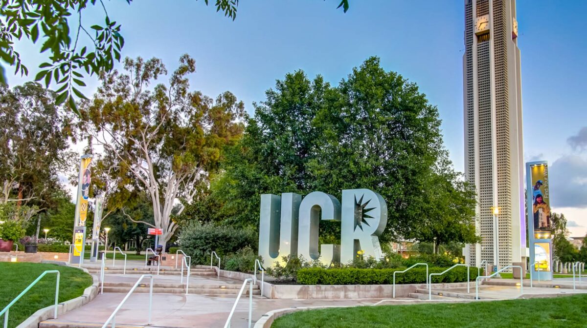 фото из интернета  UC Riverside