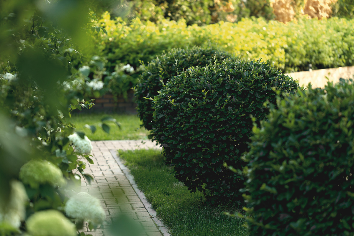 Дом «Достояние на Чапаева», девелопер «Мармакс», г.Рязань