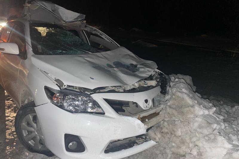    Фото: группа "Госавтоинспекция Алапаевска" во "ВКонтакте"