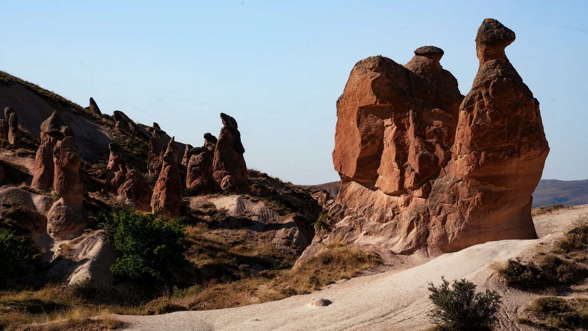 Фото с бесплатного фотостока https://unsplash.com, автор Jeffrey Zhang