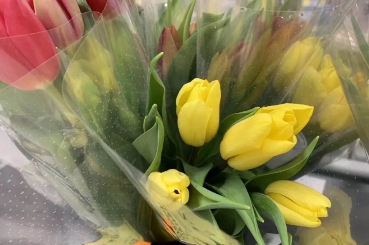    В Госдуме предложили поднять пошлины на импортные цветы до €3 за килограмм