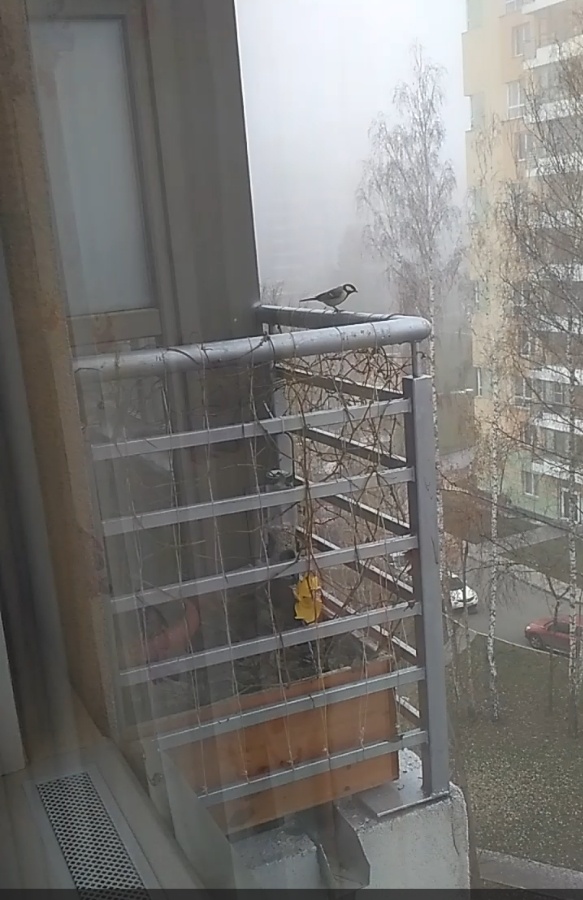 Балкончик, вид снаружи.