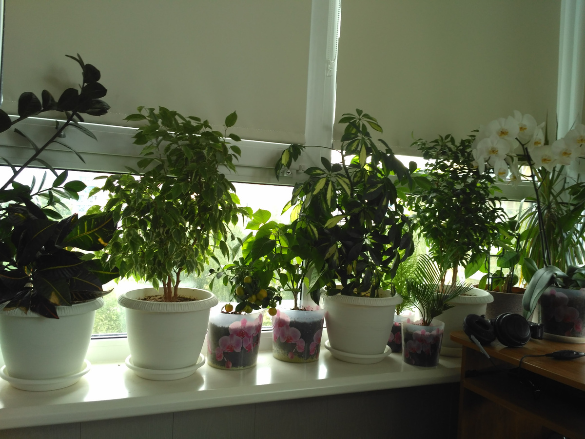 Места уже нет!