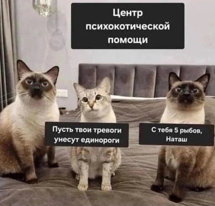 С просторов интернета.