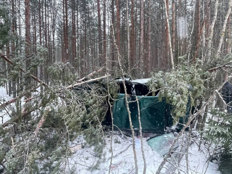    Три человека пострадали в перевернувшемся автомобиле в КарелииГАИ Карелии