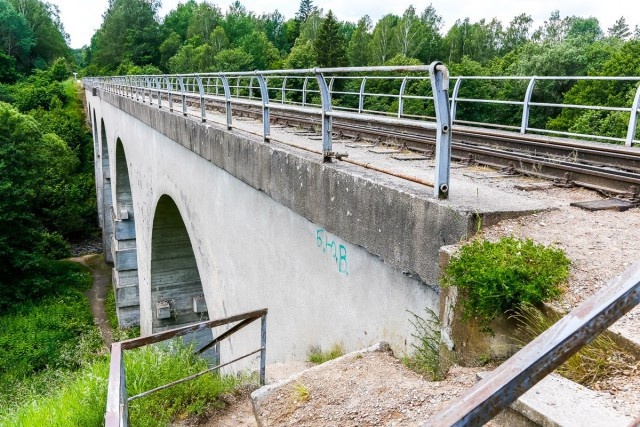   Фото из архива Калининград.Ru