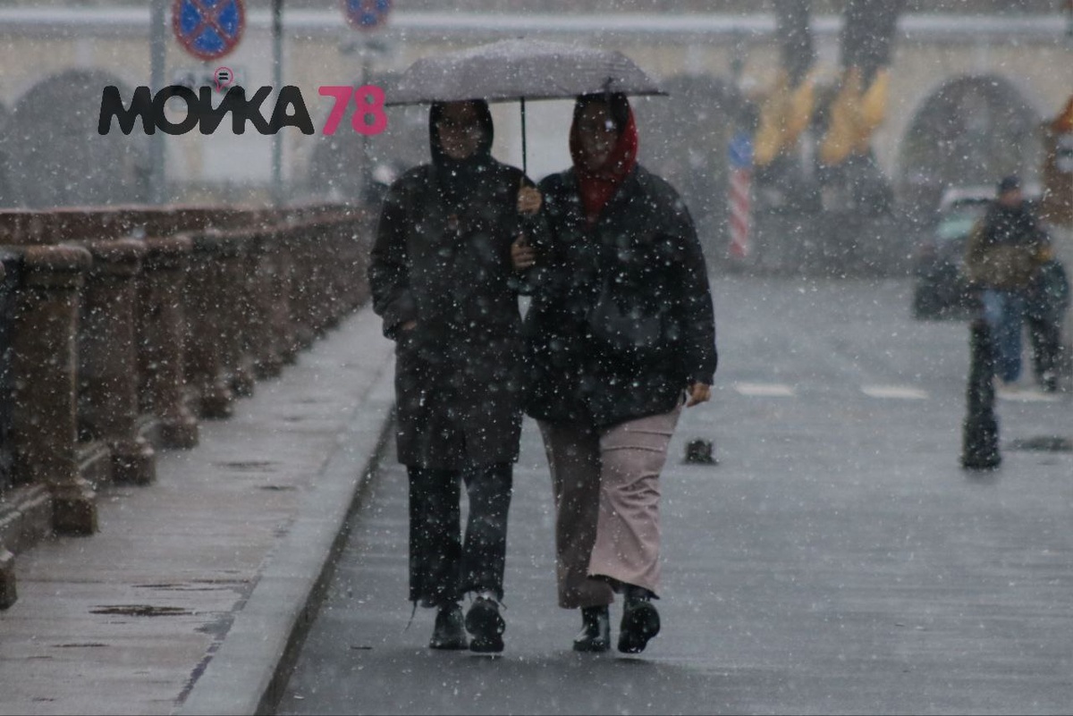    Фото: Мойка78