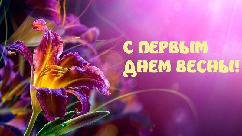 Фото: bipbap.ru