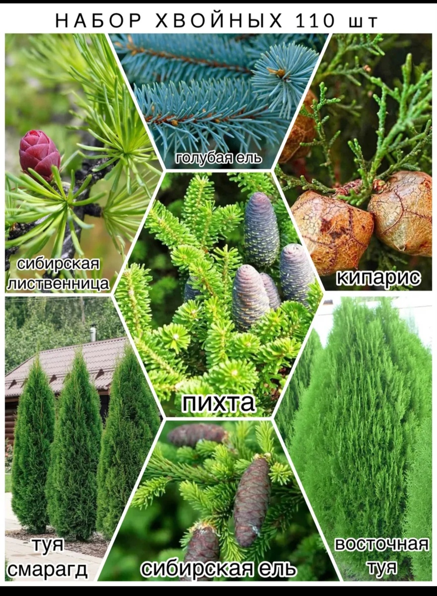 Скриншот с маркетплейса