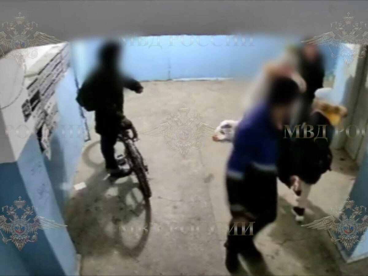    Кадры инцидента с мужчиной, который при выходе из лифта ударил женщину© t.me/IrinaVolk_MVD