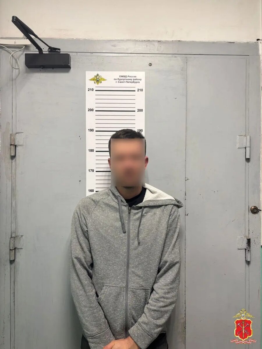    Фото: пресс-служба ГУ МВД России по Петербургу и Ленобласти