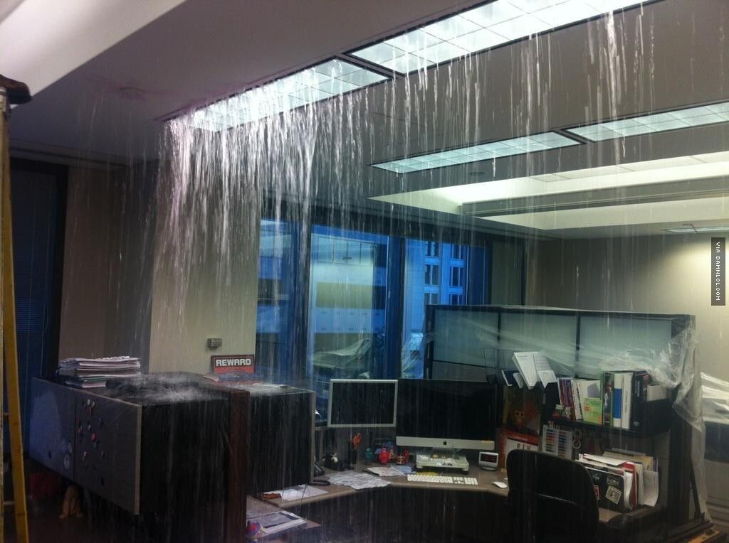 Картинка взята с сайта https://nz.pinterest.com/pin/857583954013749482/