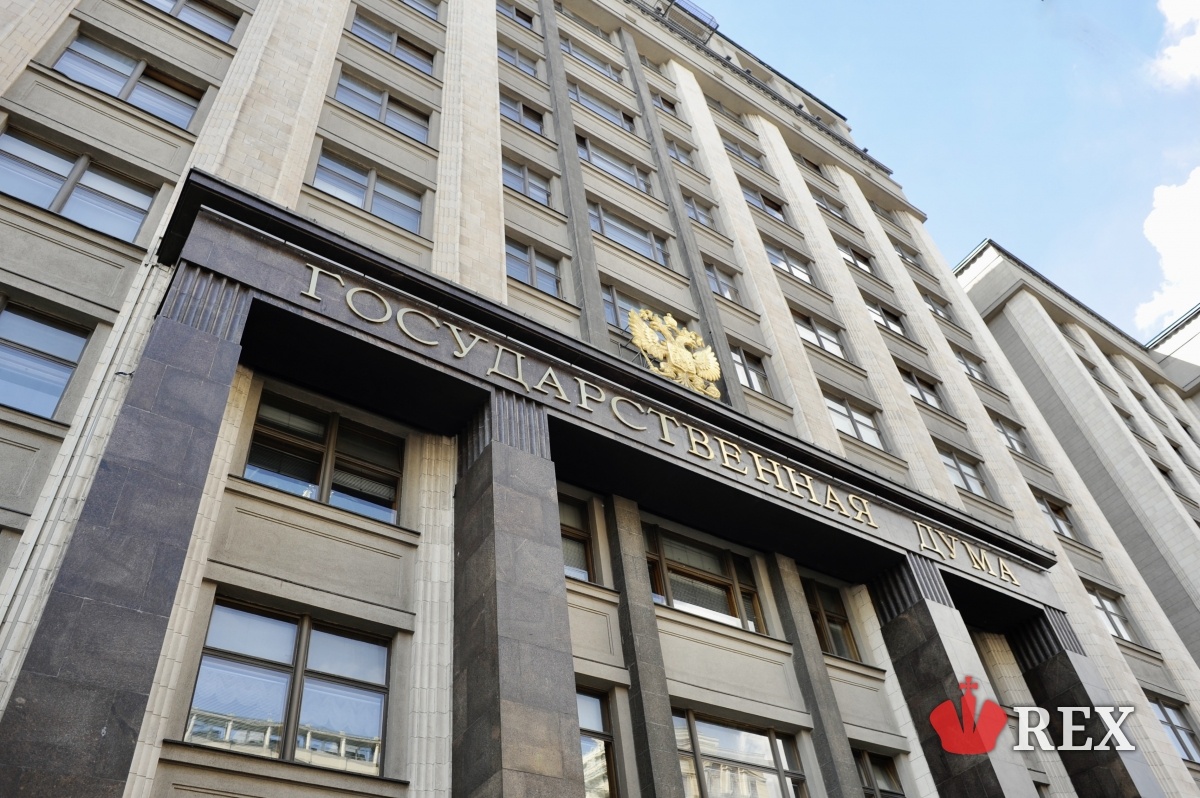Государственная дума России. Фото: Дарья Ильина, ИА REX