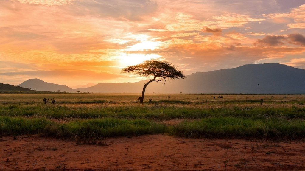     Съедобное небо, драма с баобабом и мир из яиц. 5 африканских мифов Елена Исупова