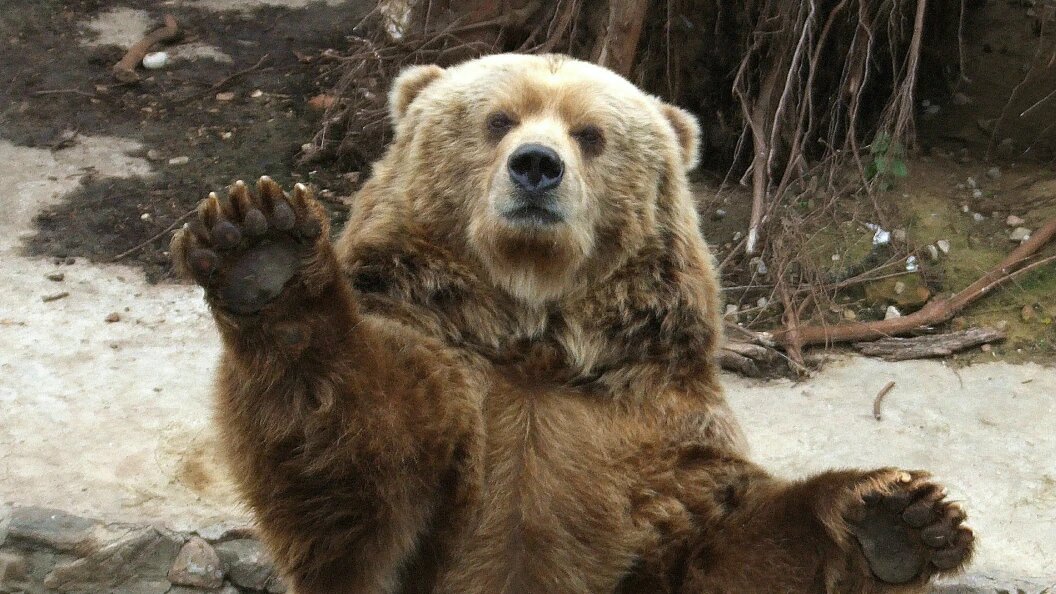    Фото: Victor Lisitsyn, Виктор Лисицын/Globallookpress