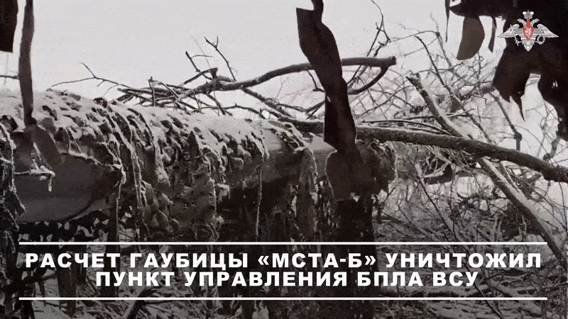    Артиллеристы подавляют противника огнём//Видео с официального ТГ-канала Минобороны