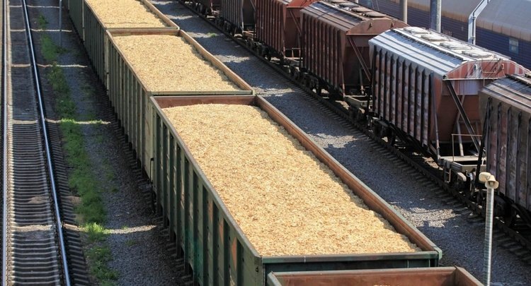    Что надо знать для экспорта зерна в Китай