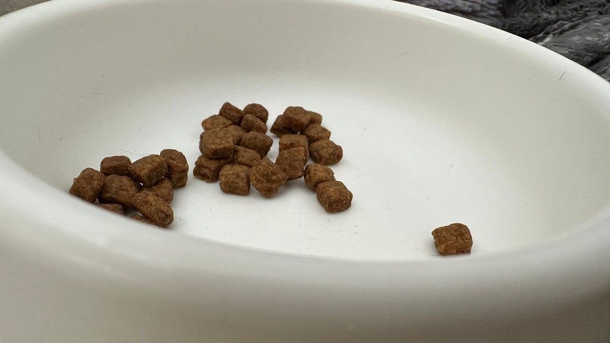    Фото: телеканал «Краснодар»