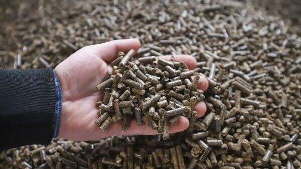    © Sputnik / Денис Абрамов