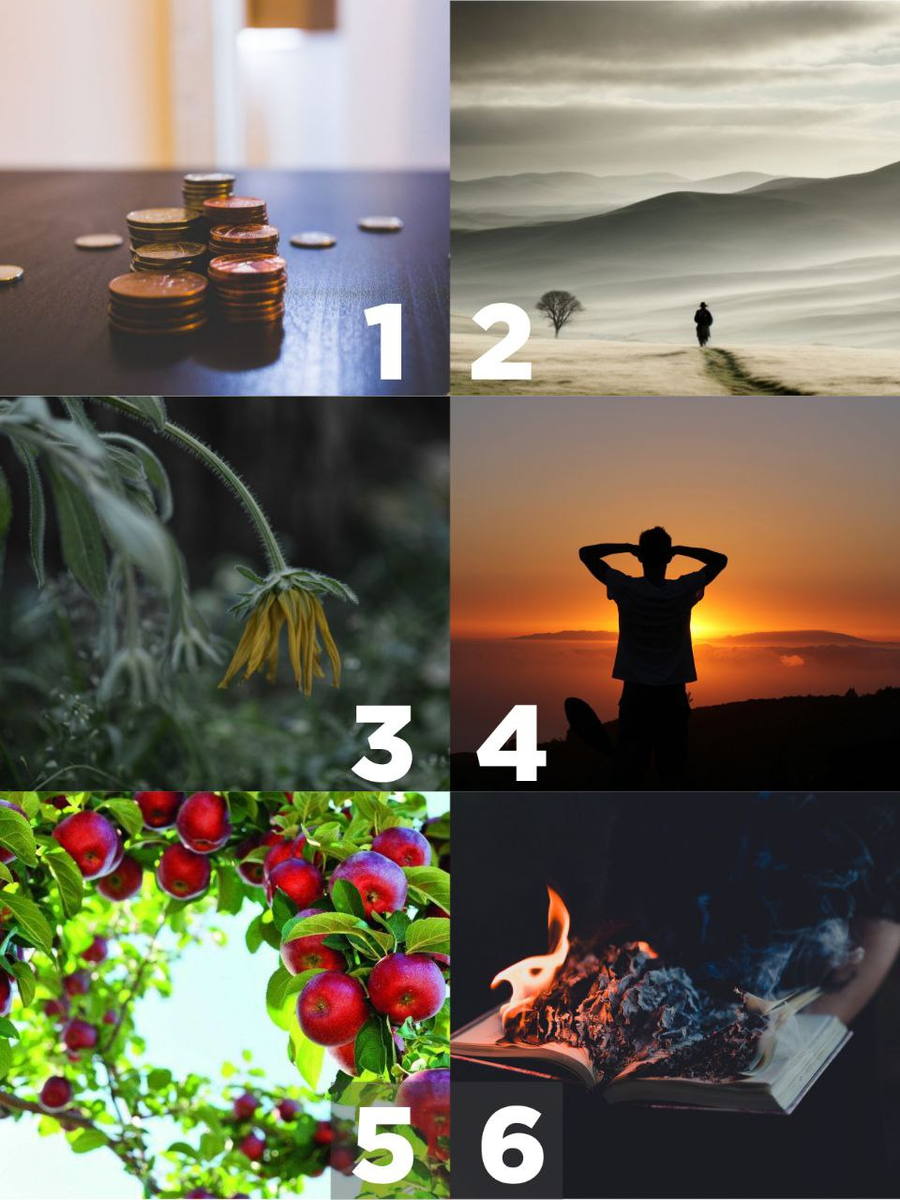 Не задумываясь выберите понравившуюся картинку