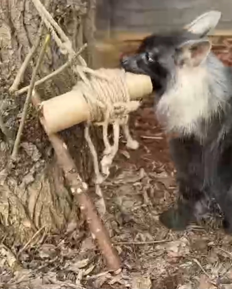 Что-то там спрятано