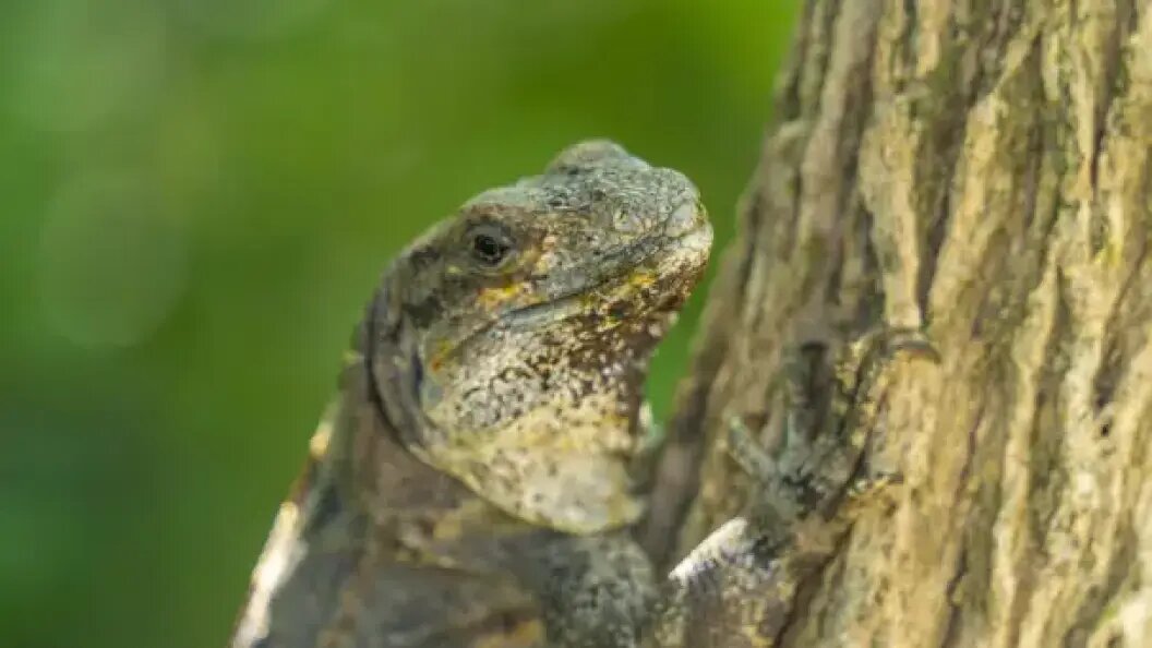    ФОТО: IMAGO/GLOBALLOOKPRESS