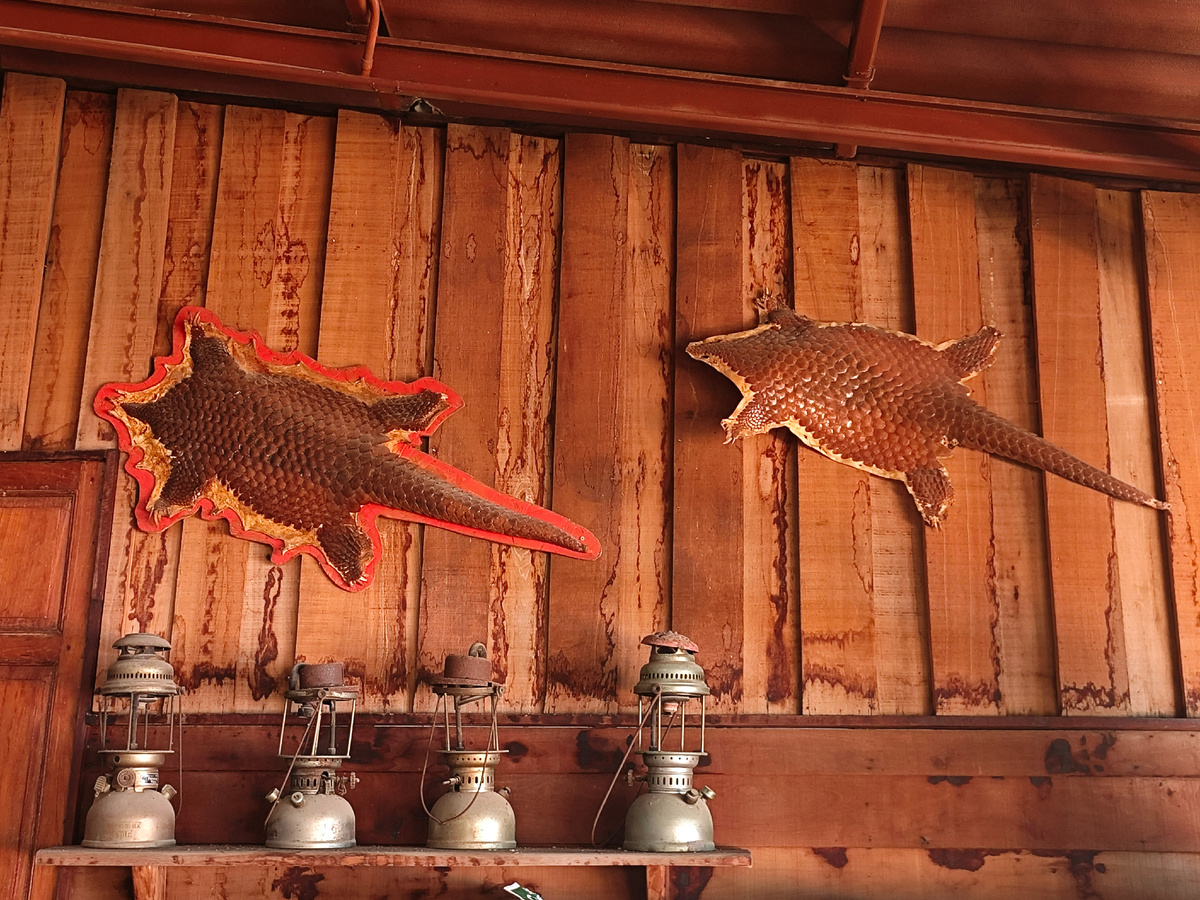 Предметы интерьера.