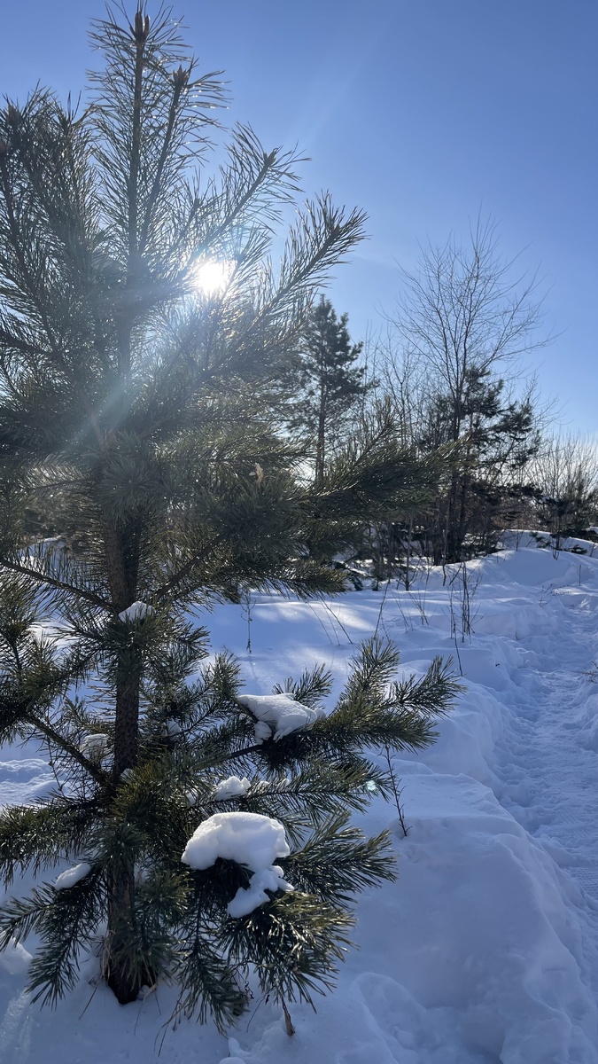 Ловлю редкие лучи