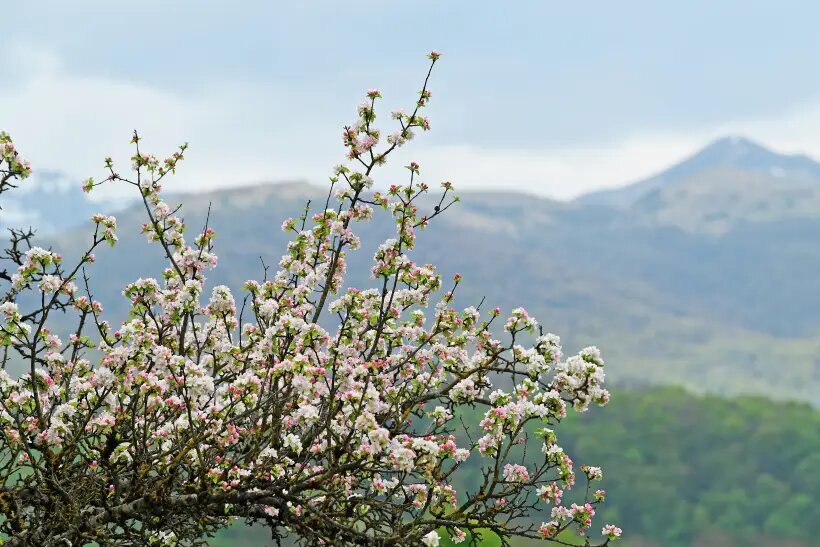     © РИА Новости. Екатерина Чеснокова