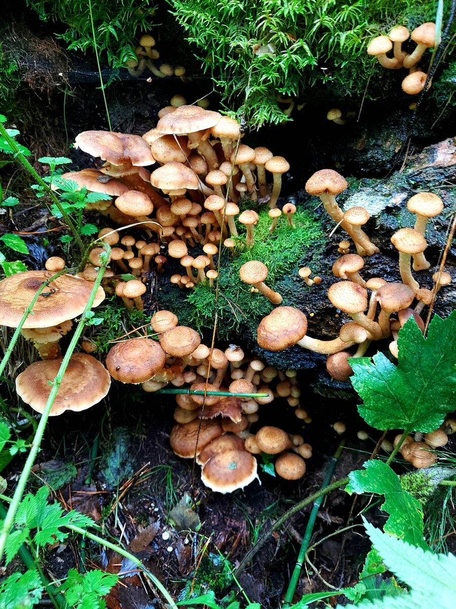 Автор фото Наталья Мазняк