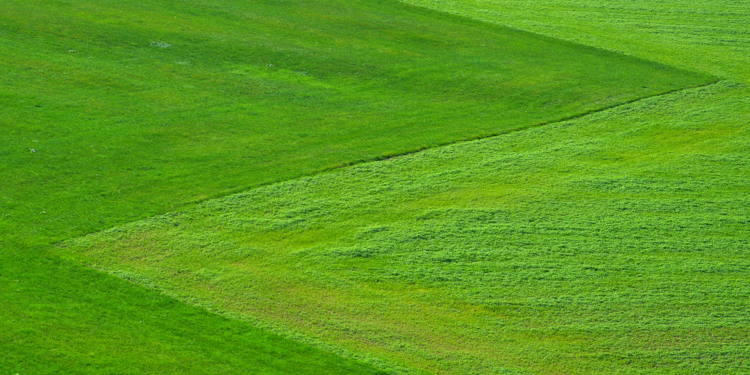 Новые правила для дачников с 1 марта 2025 года: что нужно знать