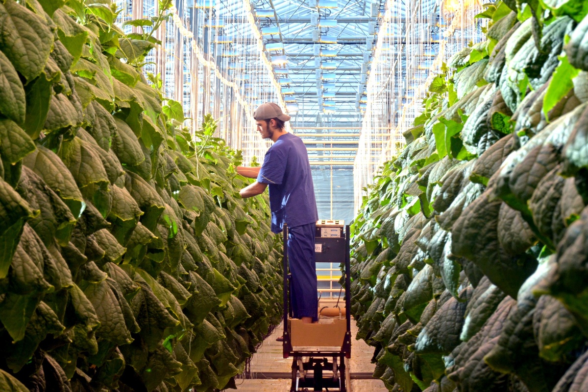 Фото: Пресс-служба минсельхоза Челябинской области