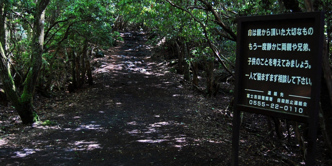 Место для суицида или обычный лес Аокигахара