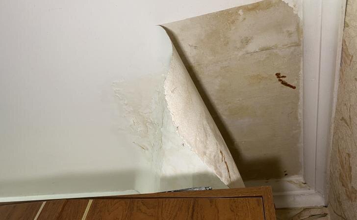    фото Курские известия