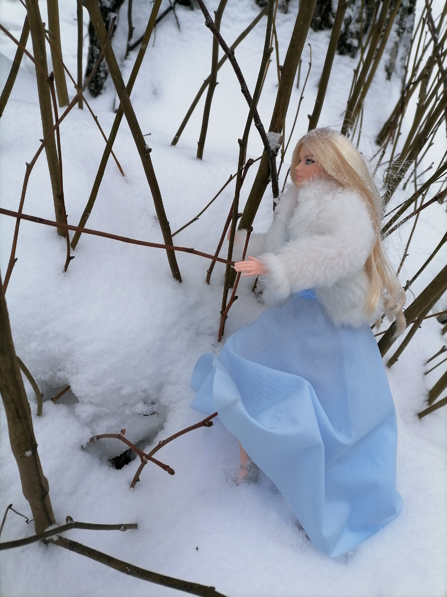 Barbie looks #6 Виктория 