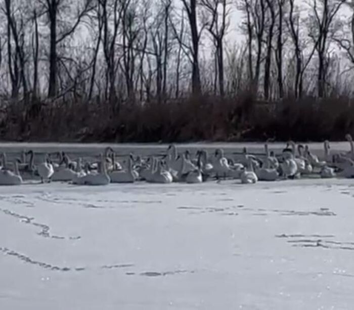 Источник фото: Соцсети
