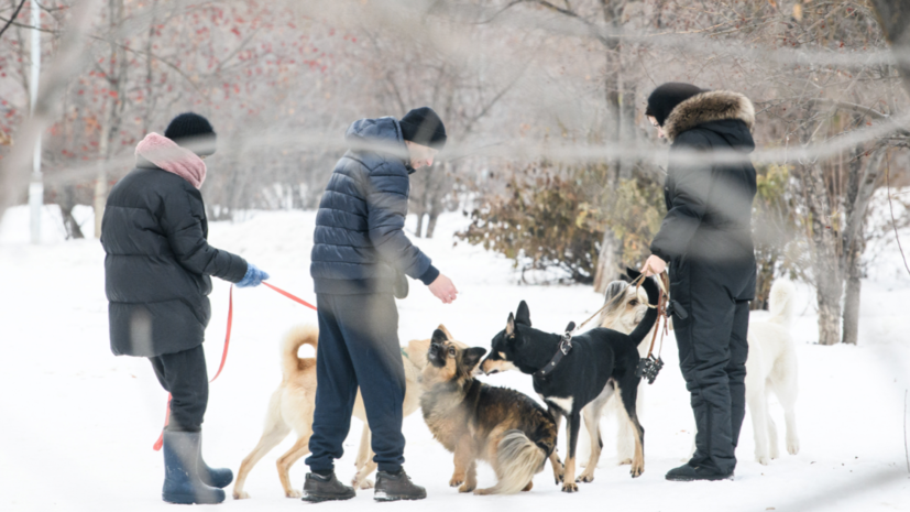   globallookpress.com Belkin Alexey