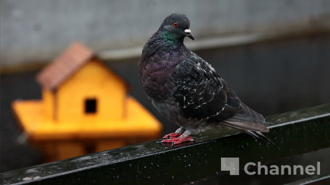 Фото: Анастасия Илюшина/47channel, архив