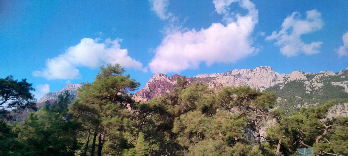 Девка красна до замужества. Русская поговорка