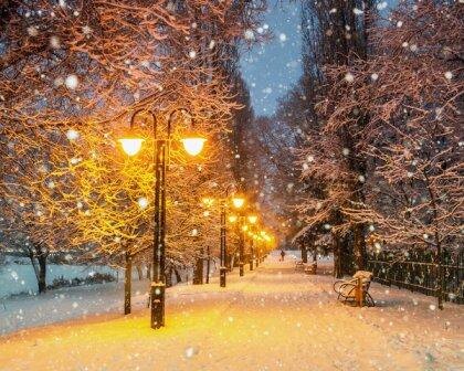 Фото из интернета.