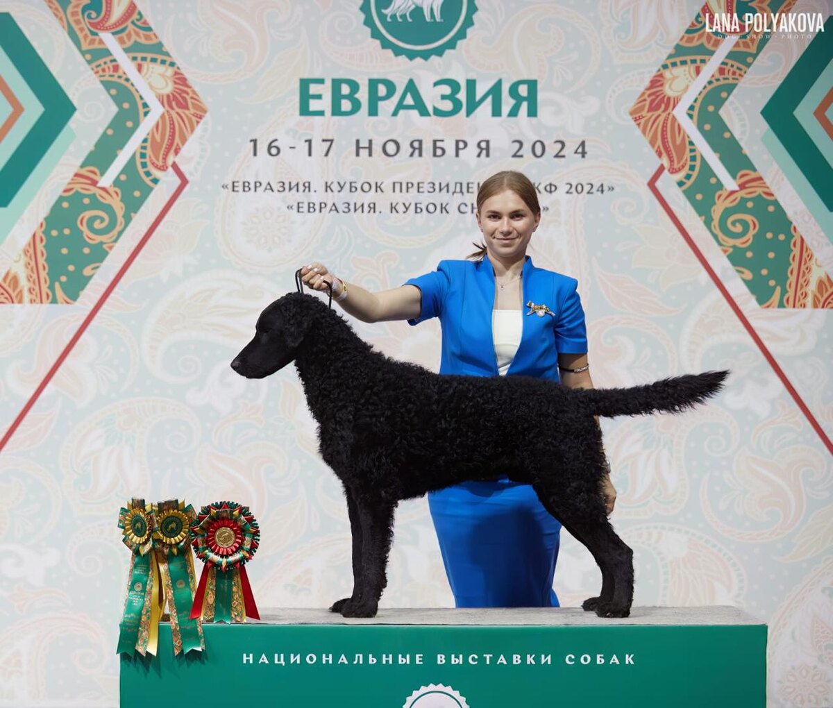 Фото предоставлено питомником «Солнце Балтии»