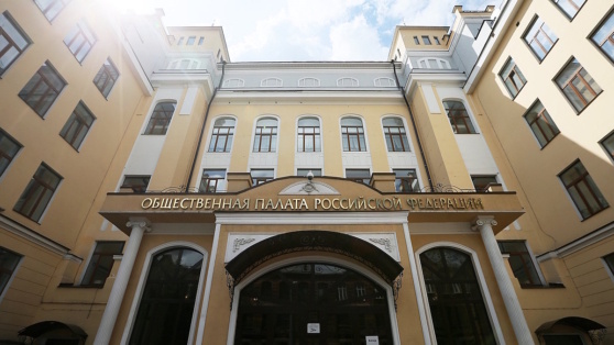    Общественная палата РФ: 20 лет на страже интересов граждан Полина Киселева