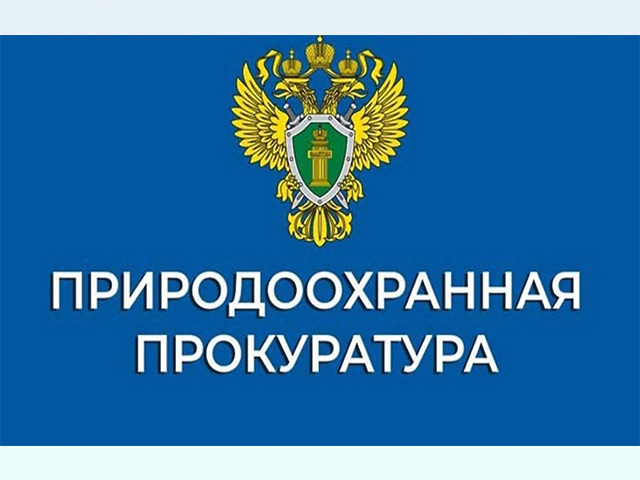 Тверских предпринимателей приглашают на прием к прокурору. Природоохранному