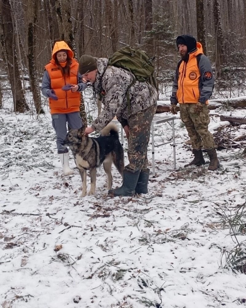    Фото: АиФ-Калуга