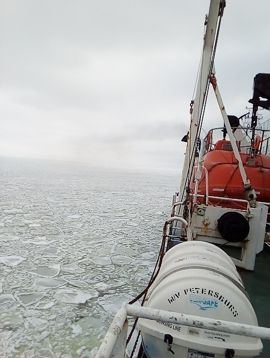 Вид с борта парома "Петербург" на покрытое льдинами море. 